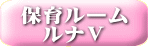 ルナルームⅤ