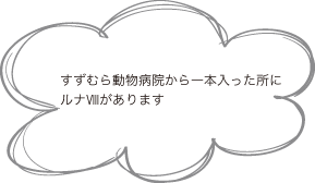 すずむら動物病院から一本入った所にルナⅧがあります