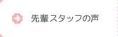 先輩スタッフの声