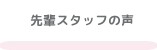 先輩スタッフの声