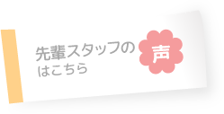 先輩スタッフの声