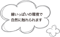 緑いっぱいの環境で自然に触れられます